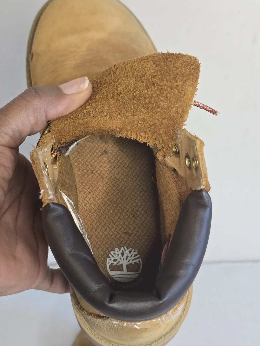 Timberland 6 Inch Premium Waterproof Boots Youth 3M Wheat Nubuck Brown Fall Boot